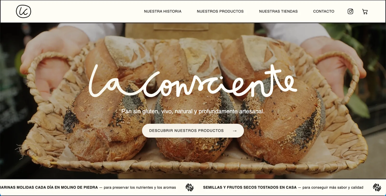 Création du site internet La Consciente